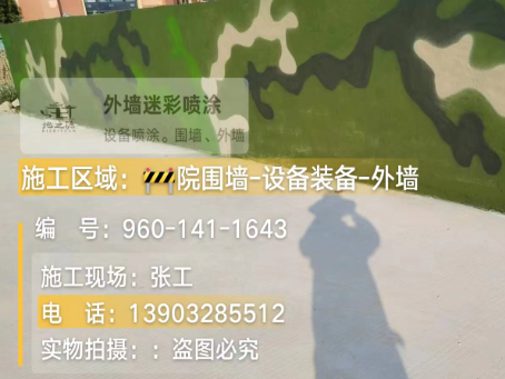 绵阳 迷彩漆喷涂价格（按平方米计费）
