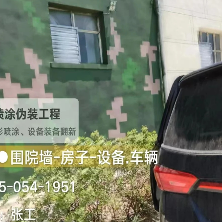 绵阳数码迷彩漆施工